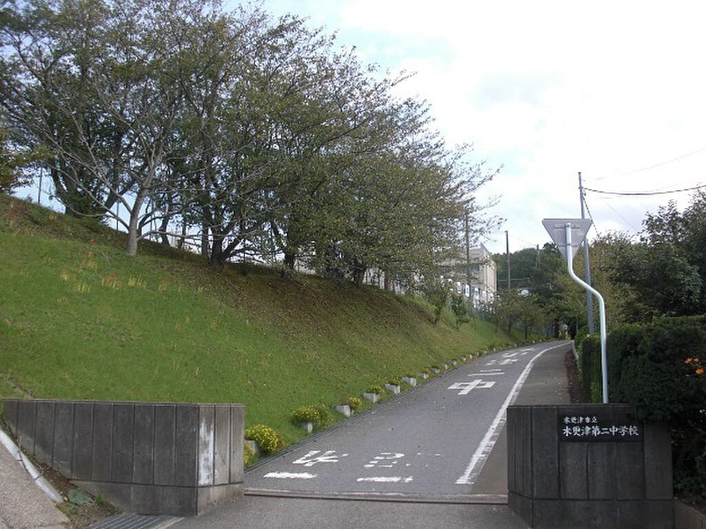 Image 51