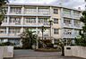 周辺：千葉市立幕張中学校（700m）