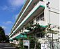 周辺：若松中学校（1200m）