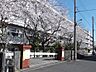 周辺：千葉市立宮野木小学校（640m）