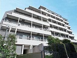 🉐敷金礼金0円！🉐レヴィーガ板橋徳丸