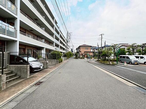 現地写真です。
