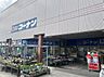 周辺：コーナン湘南藤沢店