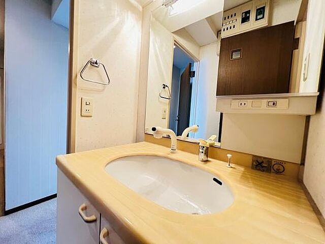 洗面 ルミナス相模原 7階/-