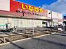 周辺：いなげや大和高座渋谷店まで約1500m（徒歩19分）