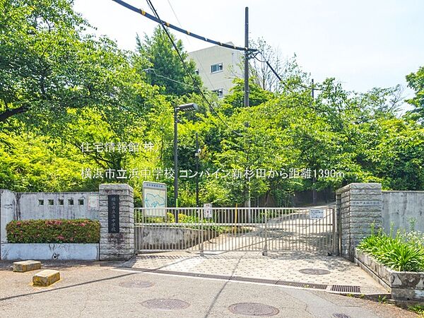周辺を拡大表示