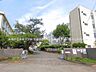 周辺：多摩市立多摩中学校まで約800m（徒歩10分）