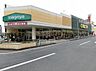 周辺：いなげや川越南大塚駅前店まで約890m（徒歩12分）