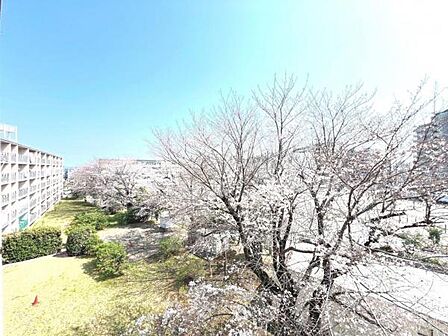 バルコニーからの眺望です。明るい陽射しを浴びながらゆったりと過ごすのも良いですね。