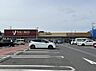 周辺：ヤオコー 大宮盆栽町店まで約880m（徒歩11分）