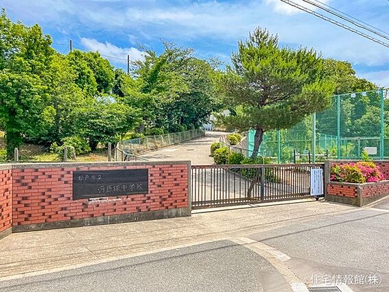 松戸市立河原塚...