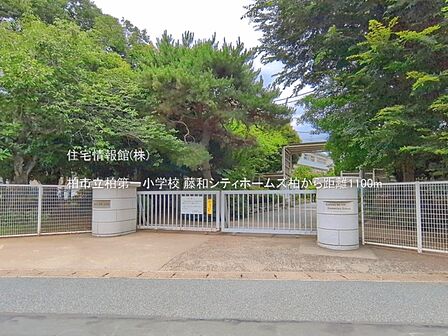 柏市立柏第一小学校まで約1100m(徒歩14分)