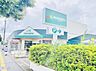 周辺：マルエツ 国分寺台店まで約921m（徒歩12分）