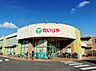 周辺：たいらや 緑店まで約900m（徒歩12分）