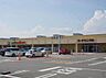 周辺：ヨークベニマル　若松原店　徒歩29分（約2300m）