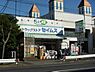 周辺：【ドラッグストア】 ドラッグセイムス千葉末広店まで616ｍ