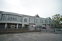 レフィシア