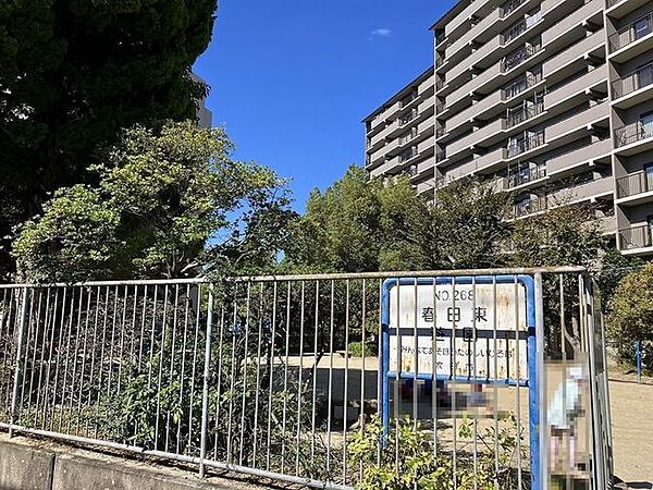 周辺を拡大表示