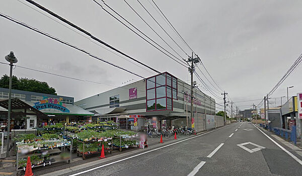 画像24:【ホームセンター】カンセキ駅東店まで1291ｍ