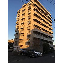 ベラビスタ柴田  ｜ 愛知県名古屋市南区柴田本通５丁目4（賃貸マンション1LDK・8階・43.49㎡） その1