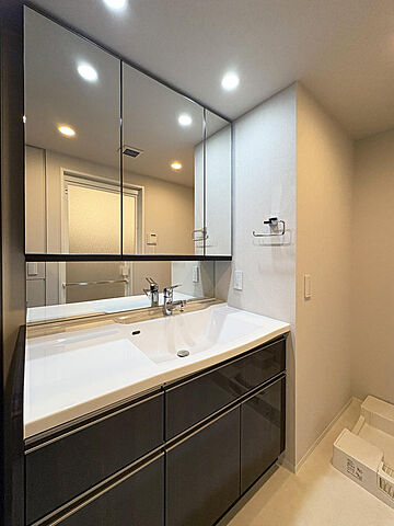 洗面 ウエリス浦和美園サウステラス 2階/-