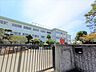 周辺：平塚市立金目小学校（490m）