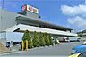 周辺：ロピア 湘南めぐみが丘店（1160m）