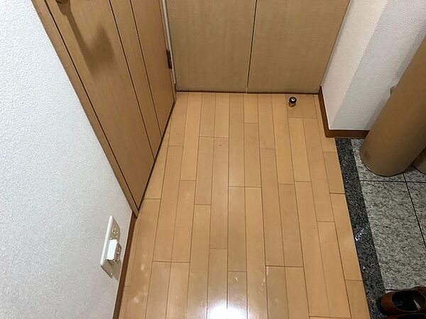 東京都中央区湊２丁目(賃貸マンション1LDK・5階・41.44㎡)の写真 その14