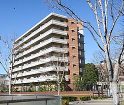 東京都新宿区河田町3-53（賃貸マンション1LDK・2階・57.90㎡） その1