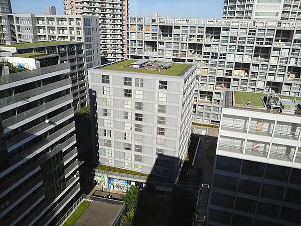 東京都江東区東雲１丁目(賃貸マンション1LDK・12階・46.56㎡)の写真 その12