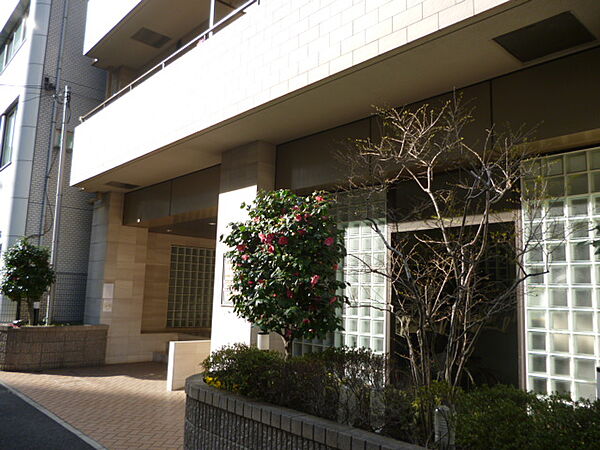 東京都中央区湊３丁目(賃貸マンション2LDK・12階・56.15㎡)の写真 その29