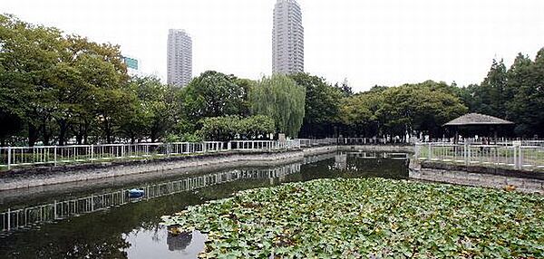 東京都江東区南砂１丁目(賃貸マンション1LDK・4階・41.71㎡)の写真 その10