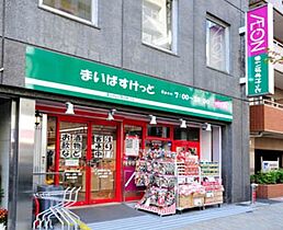 東京都千代田区神田西福田町2-6（賃貸マンション1DK・8階・34.59㎡） その19