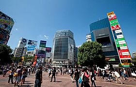 東京都渋谷区東３丁目16-6（賃貸マンション1K・3階・25.25㎡） その12