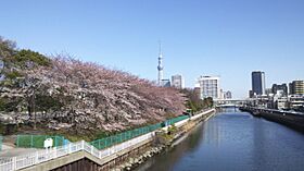 東京都江東区大島１丁目21-11（賃貸マンション1K・4階・28.32㎡） その18