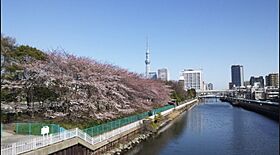 東京都江東区大島２丁目9-5（賃貸マンション1LDK・5階・43.32㎡） その18