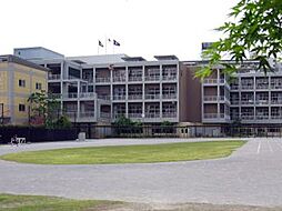 荒川区立汐入小学校