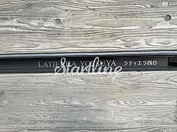 19 / 32