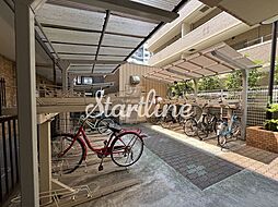 11 / 12