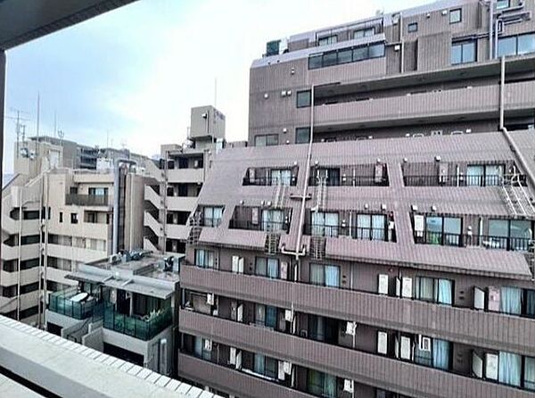 東京都港区麻布十番３丁目(賃貸マンション1LDK・6階・43.96㎡)の写真 その10