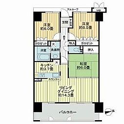 鹿児島市電2系統 中洲通駅 徒歩6分 8階/-
