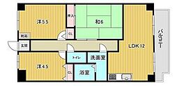 鹿児島市電1系統 武之橋駅 高麗町バス停下車 徒歩8分 11階/-