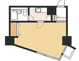ライオンズマンション天文館 ワンルームの間取図画像