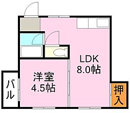 サンシュライン照国 1LDKの間取図画像