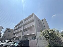 2 / 17