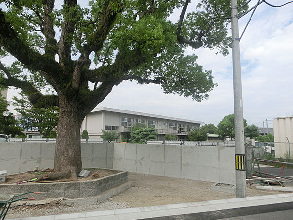 画像28:加古川中学校