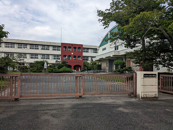 画像29:社小学校
