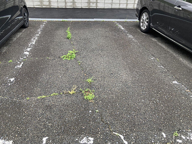 8 / 13