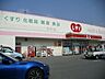 周辺：くすりのレデイ国府店まで723ｍ