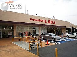 ファッションセンターしまむら登戸店  徒歩9分。 710m